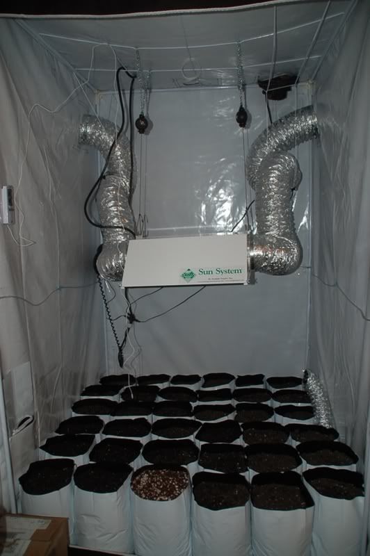 My 4x4 Grow Tent set up!!! Grasscity Forums The 1 Marijuana Community Online